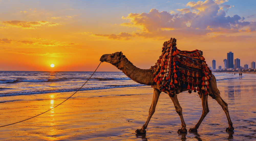 "Clifton Beach Karachi sunset camel rides" 